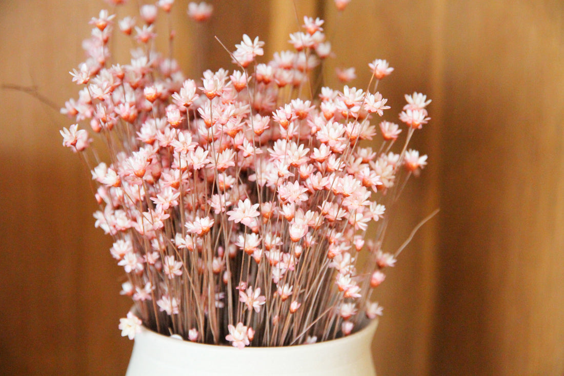 Nos inspirations : nature, féminité et douceur de vivre