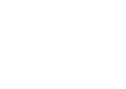 terre de muses